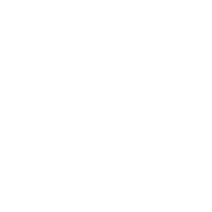 roof repairs icon