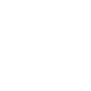 roof repairs icon 2